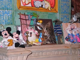 ���������